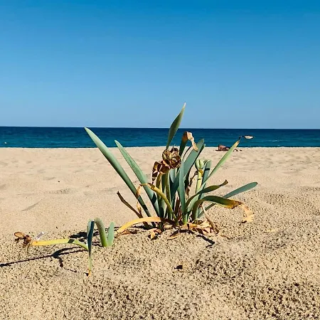 Studios Dune In Green Life Beach Resort סוזופול
